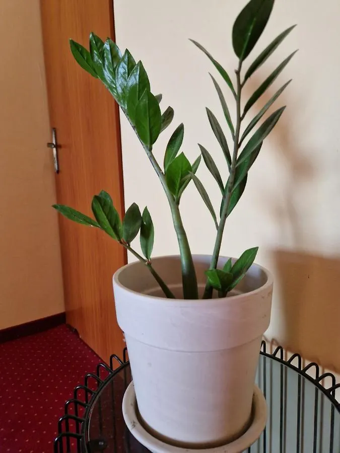 Bed & Breakfast Willa Pod Piorem Zakopane